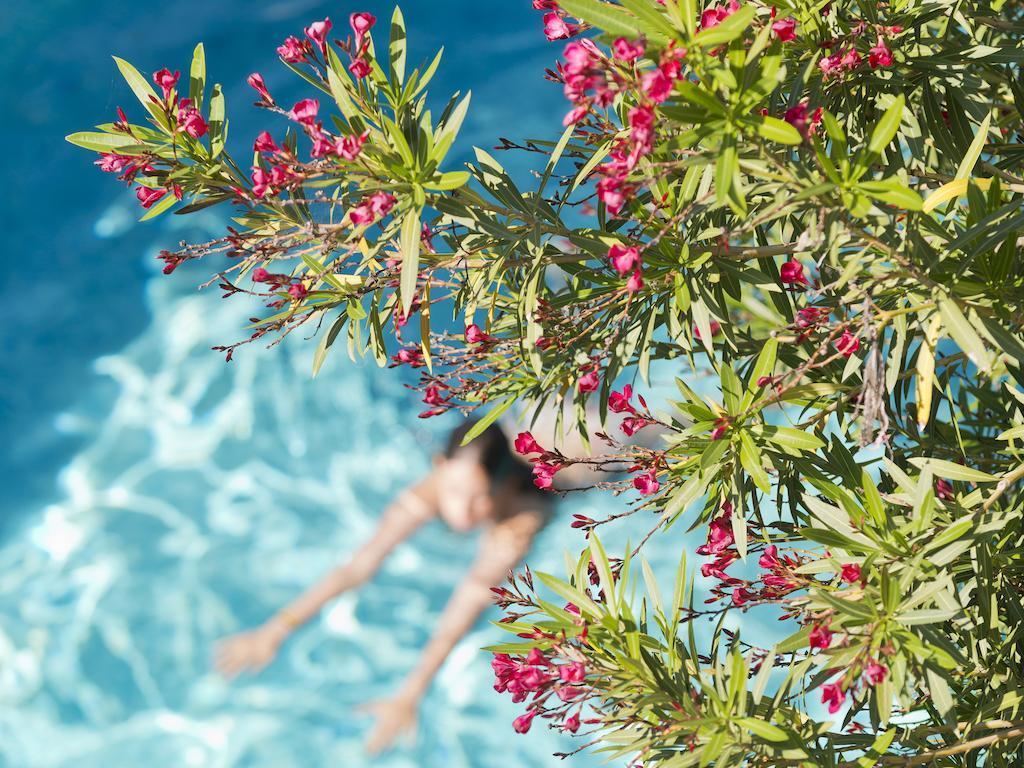 Le Val Duchesse Hotel & Appartements Cagnes-sur-Mer Dış mekan fotoğraf
